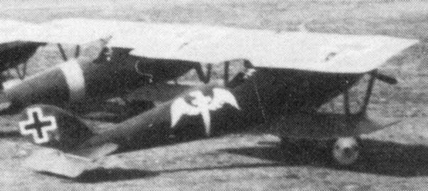 Pfalz D.III ., 1917 .