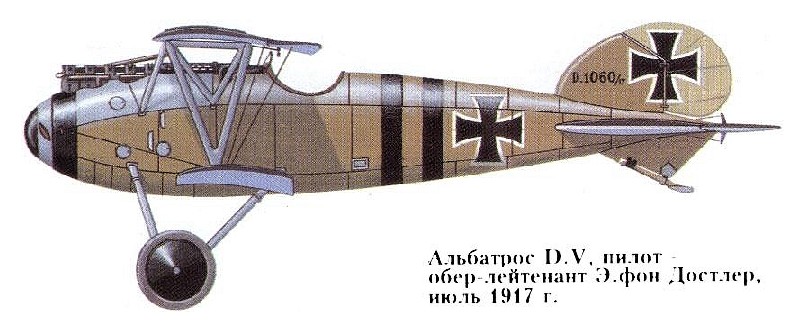 Albatros D.V   