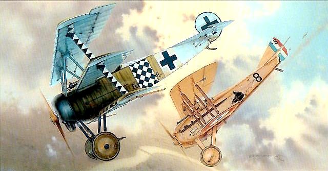 Fokker Dr.1  