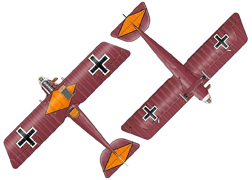 Pfalz D.IIIa -   .