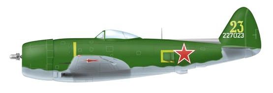 P-47 ''