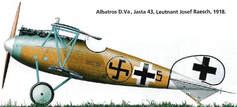 Albatros D.V  .