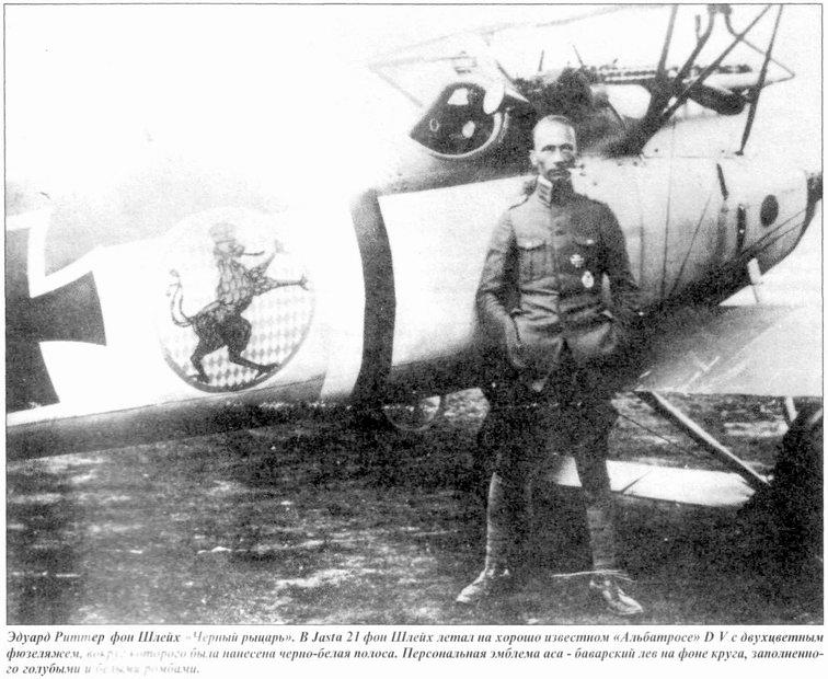 Albatros D.V  , 1917 .