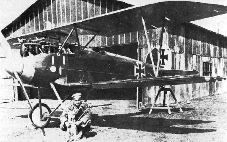    Albatros D.III