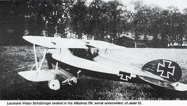      Albatros D.V