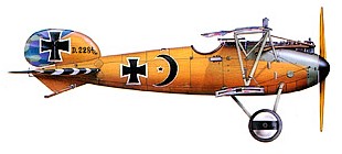 Albatros D.V  
