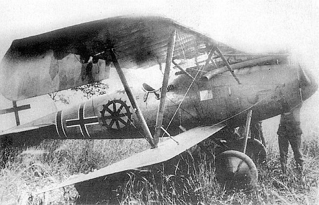 Albatros D.V Xacco  .