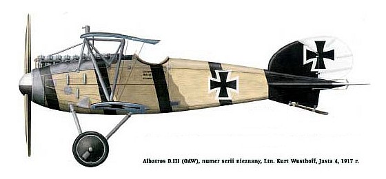 Albatros D.III  .